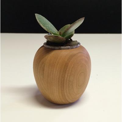 ふるさと納税 大川市 かわいい木製ポット　りんご　ブラックチェリー材