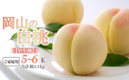 2026年  ご家庭用 岡山の  白 桃   早生種 5～6玉 合計約1.3kg  ｜ 桃