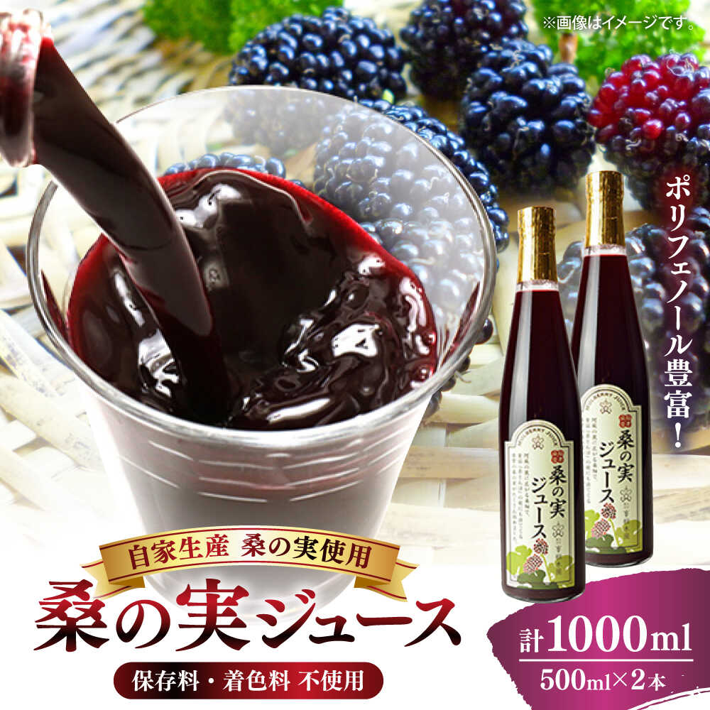 【ふるさと納税】峯樹木園 桑の実ジュース 500ml×2本セット【一般社団法人クラッシーノこうし】[AYAB019]