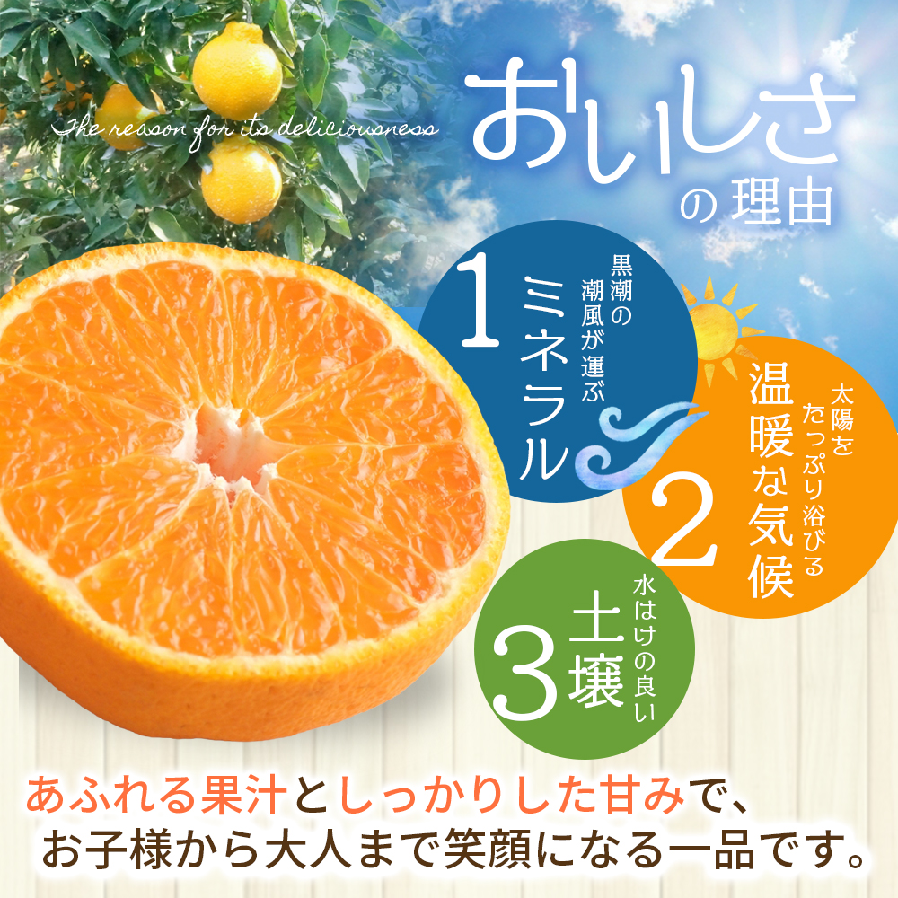 【数量限定】仲森農園の完熟不知火 5kg 【2026年2月～4月頃で順次発送】 みかん ミカン 蜜柑 柑橘 しらぬい 不知火 フルーツ 果物 くだもの 旬 甘い 産地直送 期間限定 三重県 熊野市 【