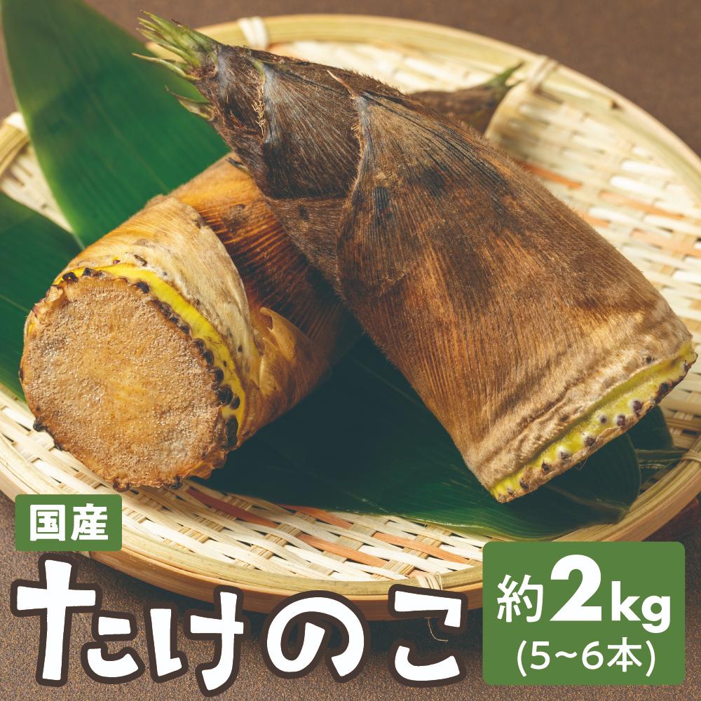 【ふるさと納税】たけのこ 2kg (5~6本) 筍 タケノコ 竹の子 2キロ 5本 6本 生 旬 旬の野菜 炊き込みご飯 あく抜き 新鮮 採れたて 国産 春 天ぷら 下処理 愛知県 豊橋市