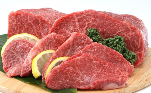 
【希少な黒毛和牛】天龍牛 モモ肉 (焼肉) 400g [№5675-1225] 【長野 信州 お肉】
