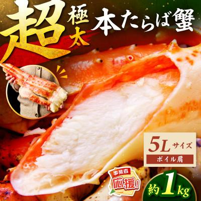 ふるさと納税 泉南市 【極太5Lサイズ】ボイルたらば蟹 1肩 約1kg ふるさと納税3.0