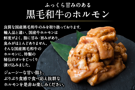 黒毛和牛 ホルモン 800g 有限会社トップルーフ 黒毛和牛