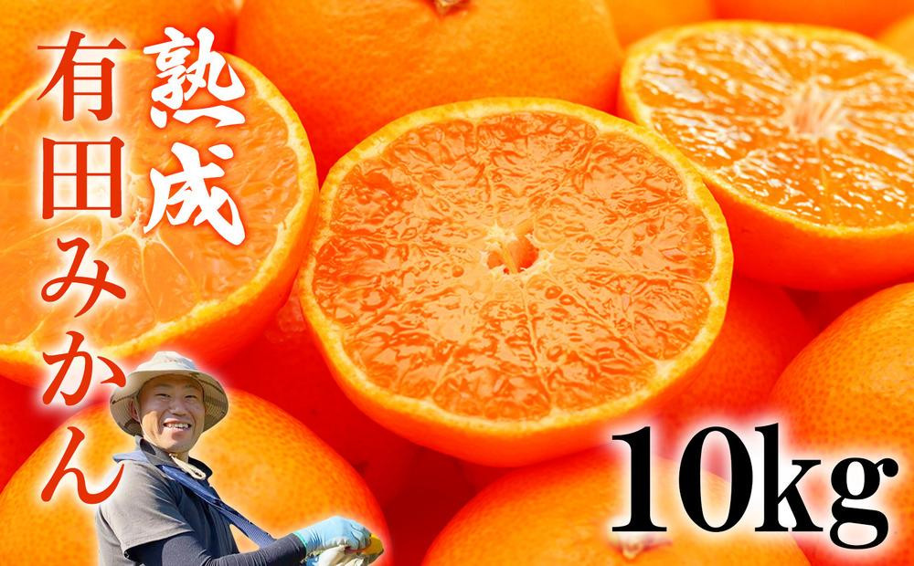 
            熟成　有田みかん 10kg（約100個）
          