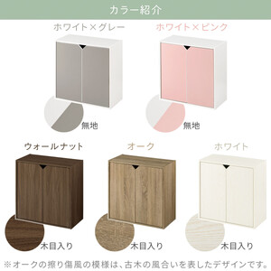 【完成品でお届け】収納ボックス〔Cタイプ〕（ウォールナット）収納棚 扉付き キャビネット ラック 棚 カラーボックス スリム 2段 可動棚 本棚 収納家具 リビング LKANET300248-C-WA