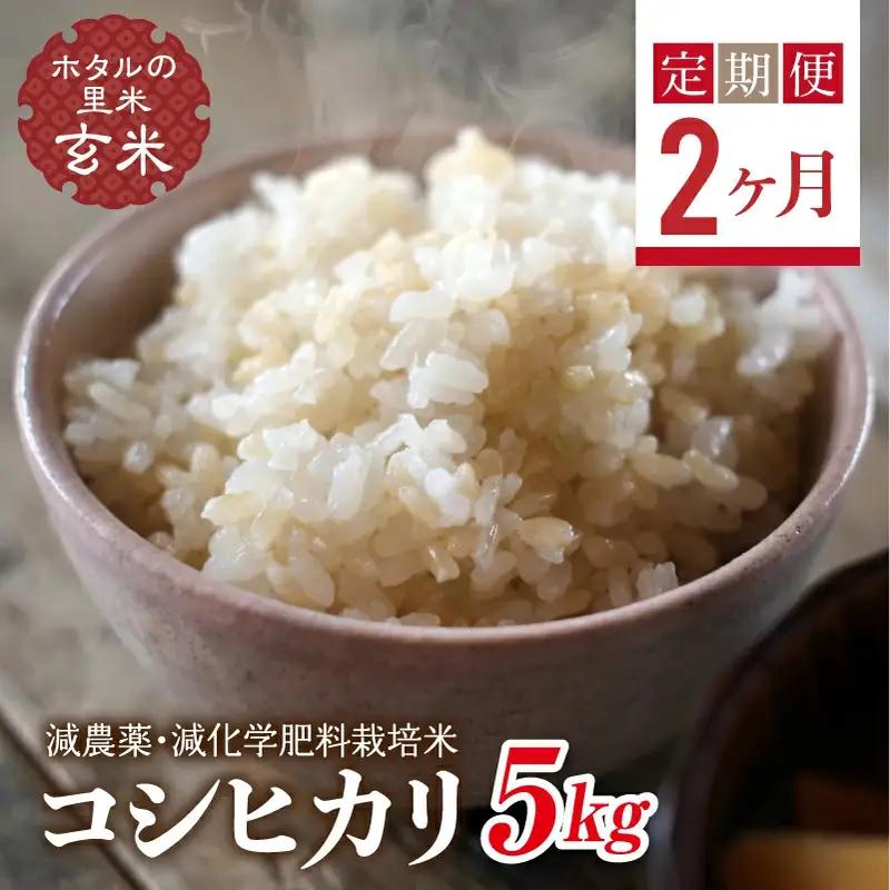  ＜定期便2ヶ月＞【ホタルの里米】環境に配慮し農薬を減らした栽培米 コシヒカリ玄米5kg  F4D-2280