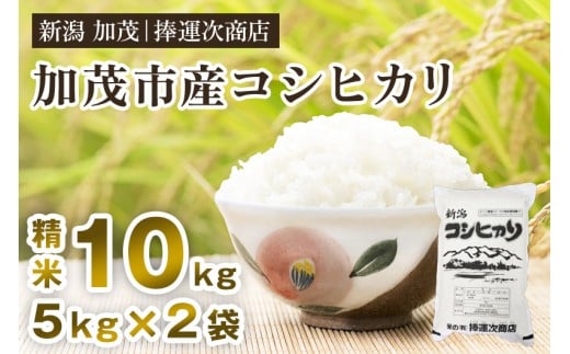 【令和7年産新米】加茂市産コシヒカリ 精米10kg 《順次出荷》 こしひかり 新潟米 お米 白米 ライス ご飯 加茂市 捧運次商店
