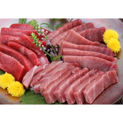 ふるさと納税 室戸市 【船元直送】厳選天然本マグロ豪華定期便【全5回】 |  | 01