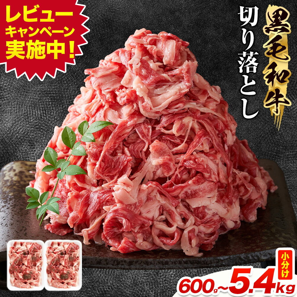 【ふるさと納税】＼レビューキャンペーン／黒毛和牛 牛肉 切り落とし 選べる内容量 600g〜5.4kg 茨城県 結城市 東和食品《30日以内に出荷予定(土日祝除く) 》お肉 肉 牛肉 和牛 牛肉切り落とし 薄切り ロース 国産 国産牛 すき焼き 牛丼 肉じゃが 焼肉【配送不可地域あり】