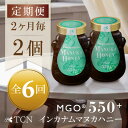 【ふるさと納税】【2ヵ月毎定期便】インカナム マヌカハニー【MGO550+】500g×2個　全6回【4050142】