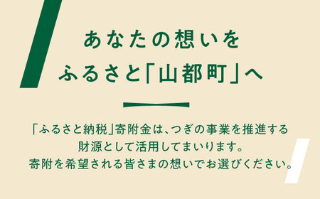 【応援寄附金】熊本県 山都町 ふるさとづくり 返礼品なし ふるさと納税 応援寄附金 応援寄付金 ふるさと応援 返礼品なし 返礼品無し (3,000円分)[YZZ012] 3000 3,000 3000