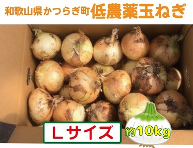 【2026年発送分・先行予約】農家さん直送　低農薬玉ねぎLサイズ　約10kg【2026年4月中旬～7月中旬発送予定】【A222-frks118】