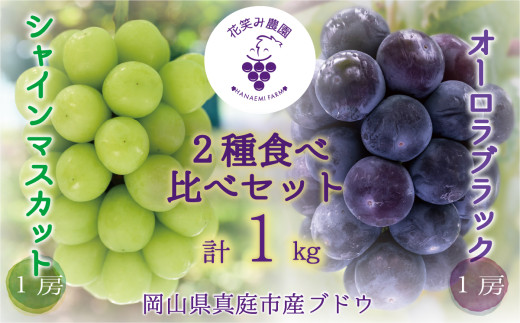 【2026年先行予約】岡山 花笑み農園の『シャインマスカット＆オーロラブラック』 1㎏（2房） 【hana067-02】