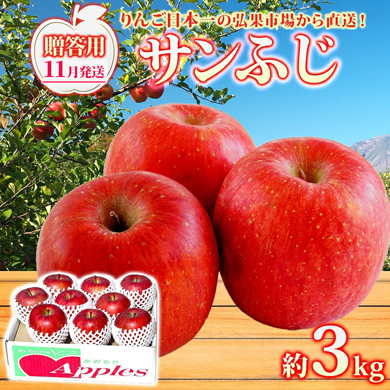 【ふるさと納税】【11月発送】 贈答用 サンふじ 約3kg りんご 林檎 リンゴ 果物 フルーツ くだもの 旬 青森県産 お取り寄せ 贈り物 プレゼント 人気 東北 名産 常温 産地直送 送料無料 青森県 西目屋村　お届け：2026年11月1日～2027年3月31日