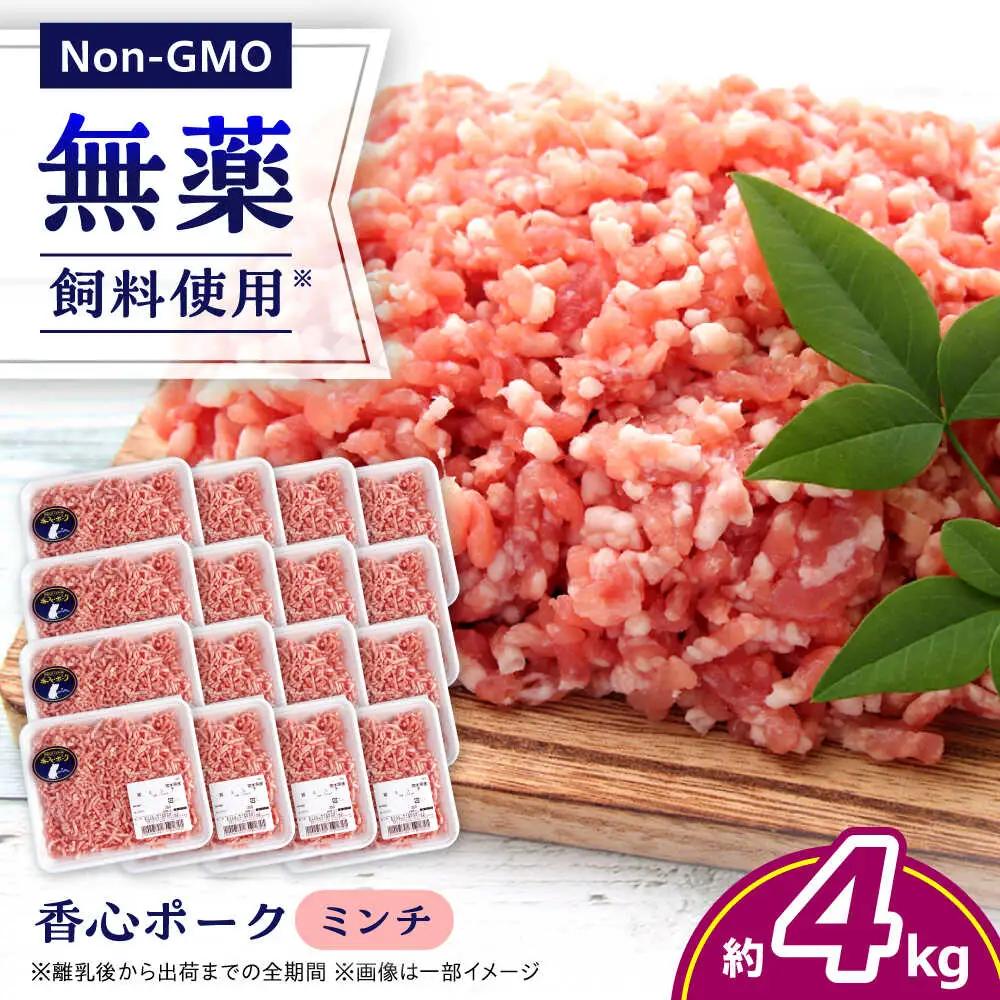 『香心ポーク』ミンチ 約250g×16パック 豚肉ミンチ[AYCK012]