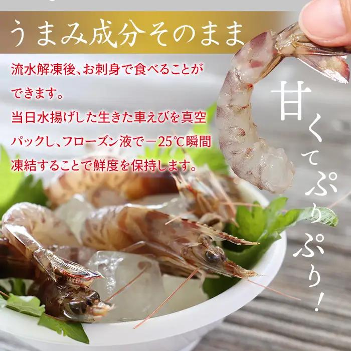 車海老【久米島漁協】活〆冷凍車海老　生食用250g 車えび 海鮮