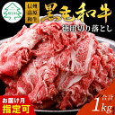 【ふるさと納税】驚異のリピート率！信州高原和牛 徳用切り落とし 1kg (250g×4) 国産黒毛和牛 和牛 牛肉 小分け包装 切り落とし オンライン申請 高評価 10000円 10,000円 一万円