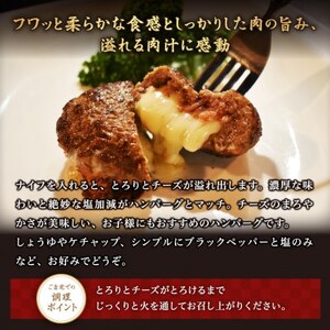 別海牛100%と別海町ゴーダチーズチーズがとろける!別海チーズインハンバーグ(120g×6個)be046-1216　（ はんばーぐ ハンバーグ チーズインハンバーグ 牛肉 別海牛 ゴーダチーズ 北海道