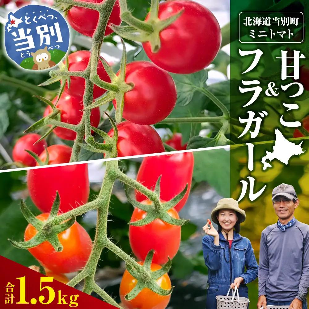 北海道当別町産化学農薬不使用ミニトマト 甘っこ750g＋フラガール750g | 北海道産 トマト 野菜 大容量 北海道 当別町