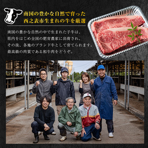 種子島 生まれ！ 黒毛 和牛 サーロイン 180g×２枚　NFN544 【1025pt】  