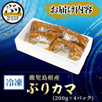 ふるさと納税 垂水市 【鹿児島産ぶり】 冷凍 ぶり カマ 4p (1個入/p、200g) 【アクアブルー】 |  | 03