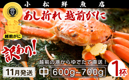 【訳あり】越前がに本場の越前町からお届け！足折れ 越前がに 浜茹で 中サイズ（生で600～700g） × 1杯【11月発送分】【かに カニ 蟹】【福井県 越前町 雄 ズワイガニ ボイル 冷蔵 越前ガニ 越前かに 越前カニ ずわいがに ずわい蟹 かに カニ 蟹】希望日指定可 備考欄に希望日をご記入ください [e23-x001_11]