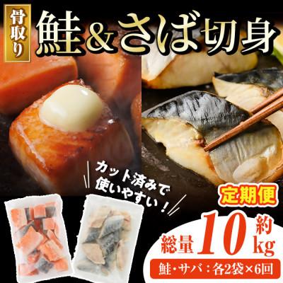ふるさと納税 門川町 【毎月定期便】骨取りさば切身と鮭カットのセット(合計約1.7kg)全6回