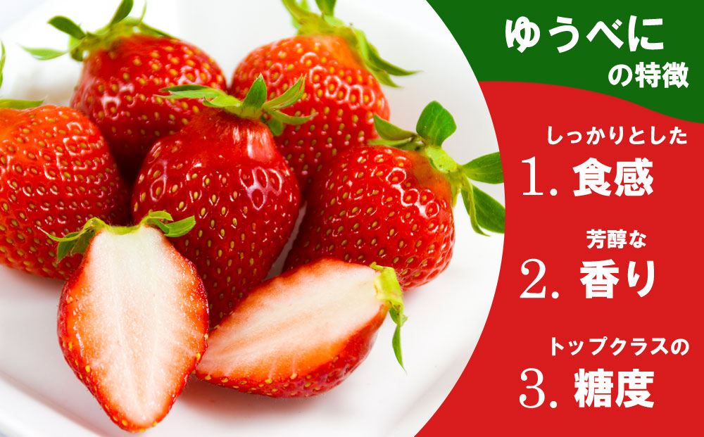 【選べる内容量】いちご 食べ比べセット ゆうべに・恋みのり 各1パック 計2パック 高藤農園 美味しい 人気 あまい 甘い イチゴ 詰め合わせ フルーツ 旬 果実 クリスマス お歳暮 御中元 ギフト 