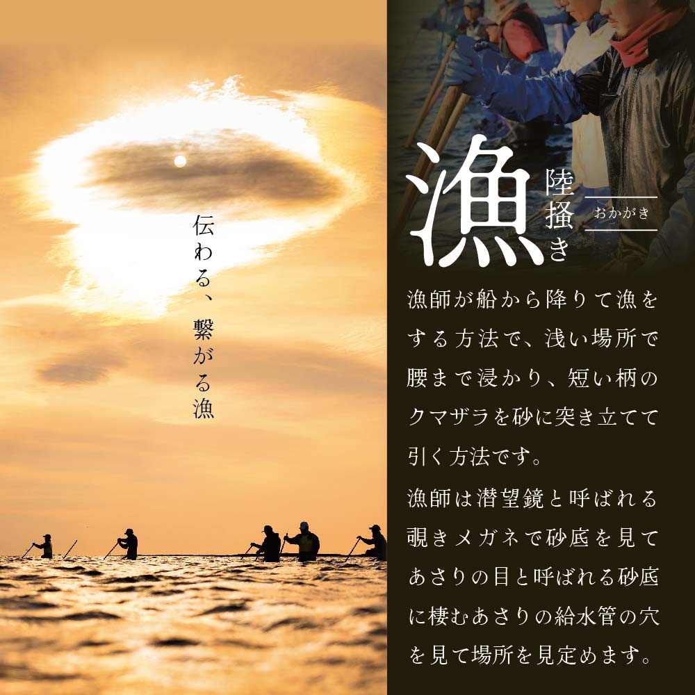 北海道　道東産 アサリ中 3kg (冷凍)　約 300g ×10 袋【SS0000015】_イメージ2