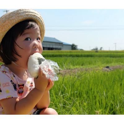 ふるさと納税 阿波市 1等米、食味値80点以上の【阿波ノ北方米コシヒカリ5kg】 |  | 02