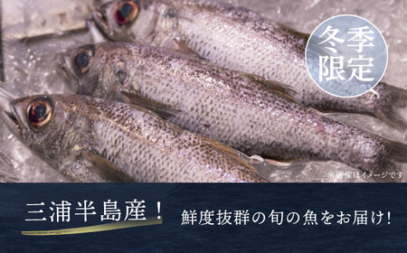 【冬季限定】下ごしらえ済 地魚セット 計2尾 鮮魚 処理済み 下処理済み キンメダイ クロムツ メダイ【長井水産株式会社】[AKAJ032]