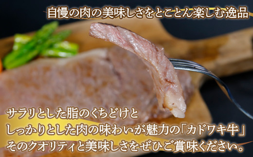 北海道 黒毛和牛 カドワキ牛 サーロイン ステーキ 2枚 200〜220g/枚【冷凍】  TYUAE004