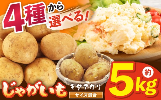 兵庫安心ブランド・キタアカリ　S～L混合サイズ　約5kg　栽培期間中農薬・化成肥料不使用 | 甘い ビタミンC じゃがいも 野菜 ヘルシー こだわり おいしい グルメ 兵庫県 上郡町