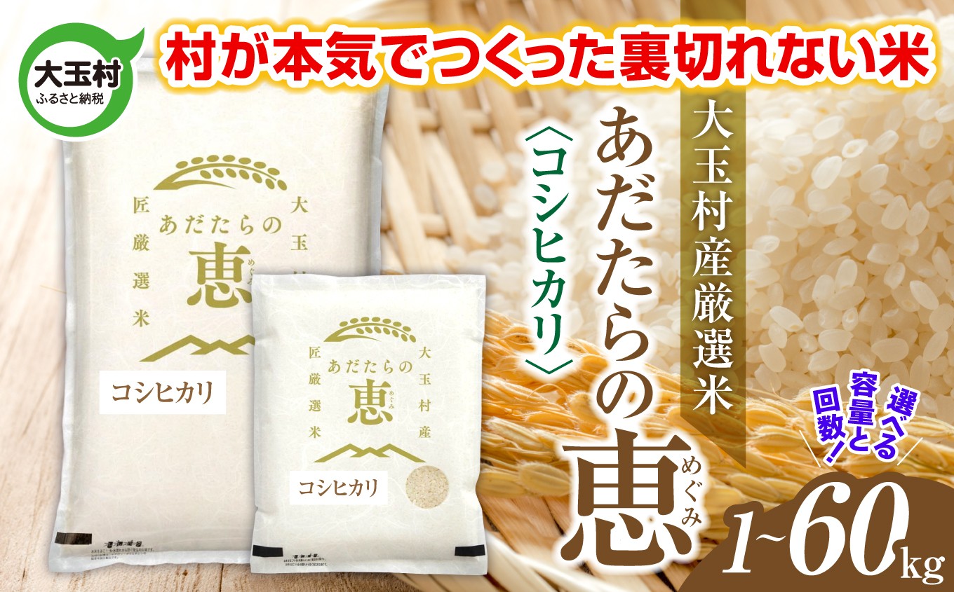 
                  米 大玉村産厳選米「あだたらの恵」（品種：コシヒカリ） 1kg / 2kg / 3kg / 5kg /10kg 選べる容量 単品 / 定期便 (3回 / 6回 / 12回) 選べる回数 《 令和7年産  》 ｜ 福島 大玉村 お米 米作り こしひかり 令和7年 精米 白米 こめ コメ ご飯 送料無料 大玉村農業振興公社 ｜ on-ak-r7
                