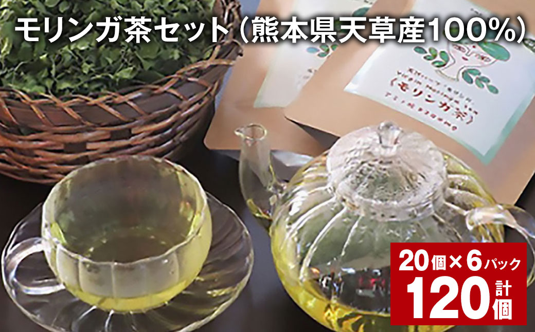 
            モリンガ茶セット（熊本県天草産100%） 計120個（20個✕6パック） ティーバッグ お茶 茶葉
          