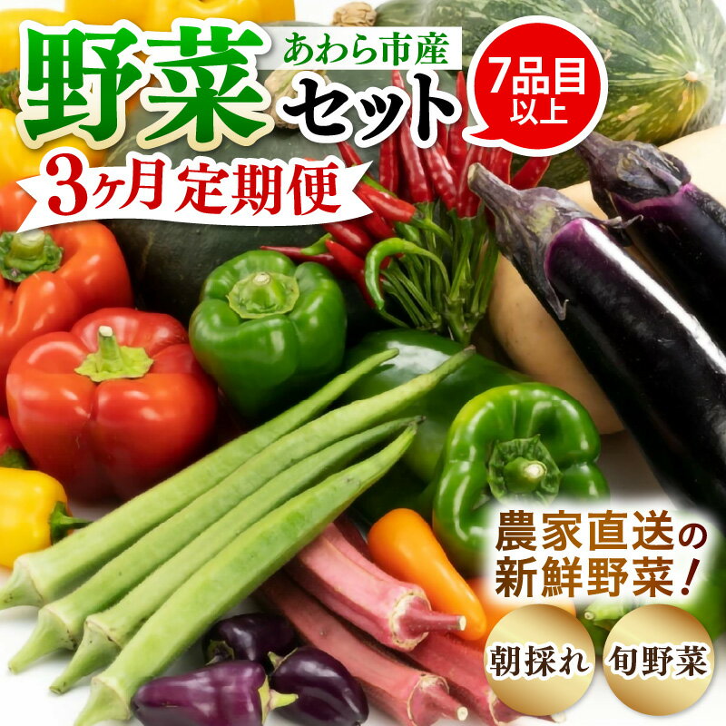 【ふるさと納税】【3ヶ月連続お届け】農家直送 旬の野菜セット 7品目以上 1箱 ／ 定期便 3回 季節 野菜 ボックス BOX セット セレクト 農家 おまかせ 多品目 旬 詰め合わせ 根菜 葉物