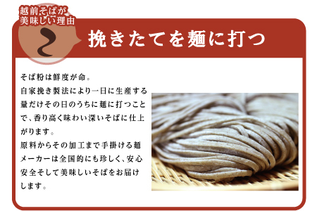 【定期便３回】創業90余年の越前そばの里　常温保存の「越前そば」10食