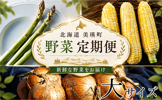 【令和9年産先行予約】野菜の定期便（大） 3回便 野菜 定期便 幻のアスパラ ラスノーブル とうもろこし 玉ねぎ 北海道 本山農場
