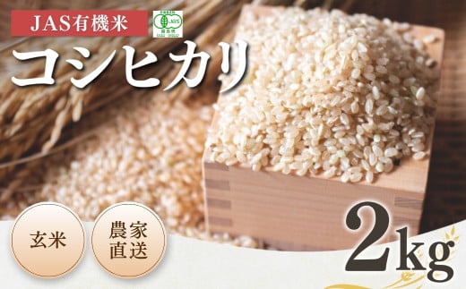 【先行予約】 JAS有機米 コシヒカリ 玄米 2kg 令和7年産 新米 | JAS こしひかり 有機米 お米 米 コメ ブランド米 低温貯蔵庫 福島県産 根本有機農園