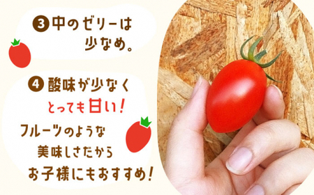 【甘くてジューシー】ミニトマト アイコ 2.0kg【C&T farm】 [QBG002] [QBG002]