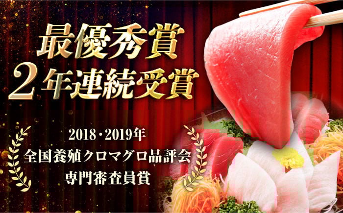 マグロ まぐろ 生食 刺身 さしみ セット 海鮮 魚介 養殖マグロ 養殖まぐろ 養殖 冷蔵 赤身 大トロ 中トロ 高級