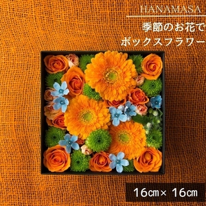 季節のお花でボックスアレンジメント（16cm×16cm）【 神奈川県 小田原市 花 花 花 花 花 】