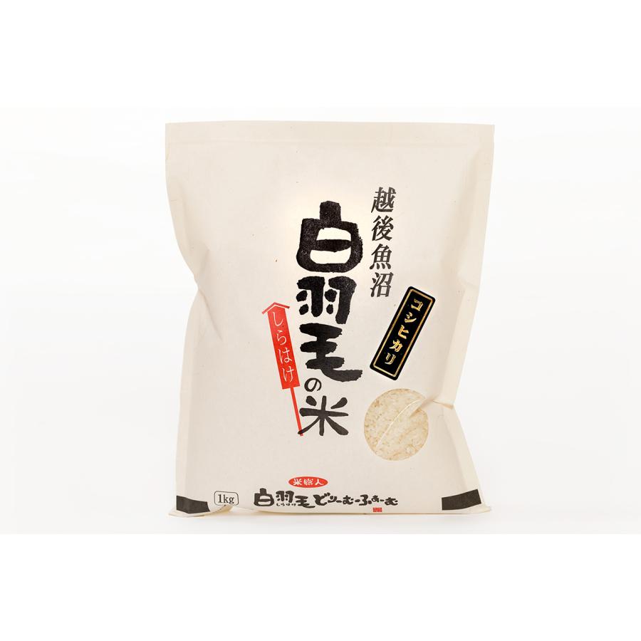ふるさと納税 十日町市 令和6年産　農家直送!魚沼産コシヒカリ「白羽毛の米」精米(1kg×5袋)5kg |  | 01