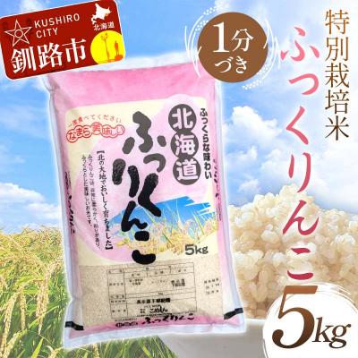 ふるさと納税 釧路市 特別栽培米ふっくりんこ 5kg 1分づき 北海道産 白米 玄米 通常発送 F4F-7188