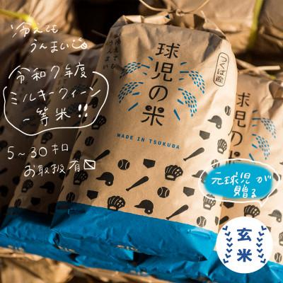 ふるさと納税 つくば市 令和7年産 新米 球児の米 (一等米 ミルキークイーン)玄米 20kg(10kg×2袋)