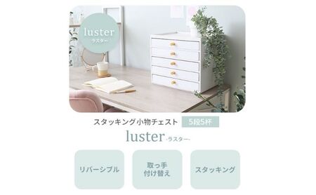 スタッキング 小物チェスト luster ラスター 5段5杯 ミニ 収納 整理 卓上 ボックス 卓上ボックス 卓上ケース ミニチェスト 収納ケース レターケース A4 収納家具 引き出し 棚 おしゃれ インテリア 家具 雑貨 兵庫 兵庫県 小野市 ホワイト