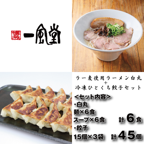 A1701.【一風堂】白丸ラー麦麺6食とひとくち餃子3袋セット【豚骨ラーメン】