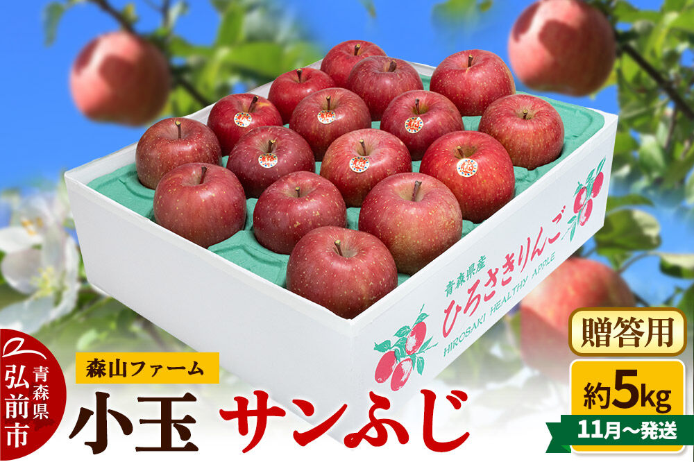 【26年11月～発送】りんご サンふじ【贈答用】約5kg 小玉 森山ファーム 先行受付 青森県 弘前市 果物 フルーツ 林檎 リンゴ くだもの ギフト 贈り物 [先行予約 産地直送 アップル おいしい