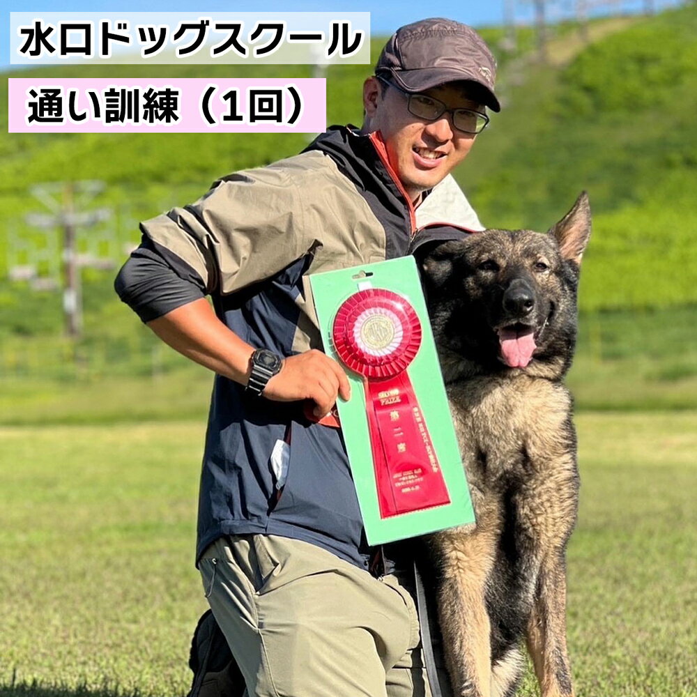 【ふるさと納税】水口ドッグスクール 通い訓練 (1回)｜犬 しつけ レッスン トレーニング 競技 飼い主 印西 千葉 [0508]